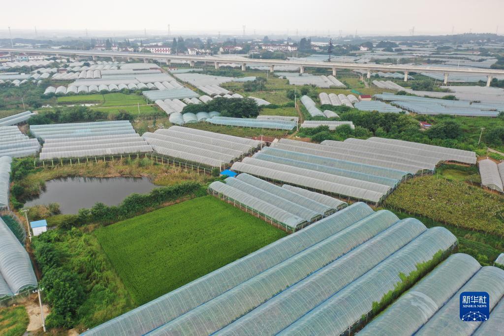怎样注册易博国际